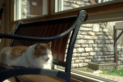 Butters1