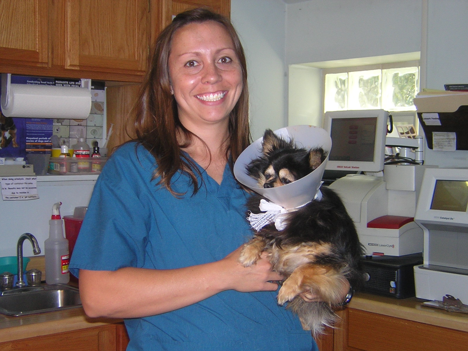 Our Team Whitehall Animal Hospital